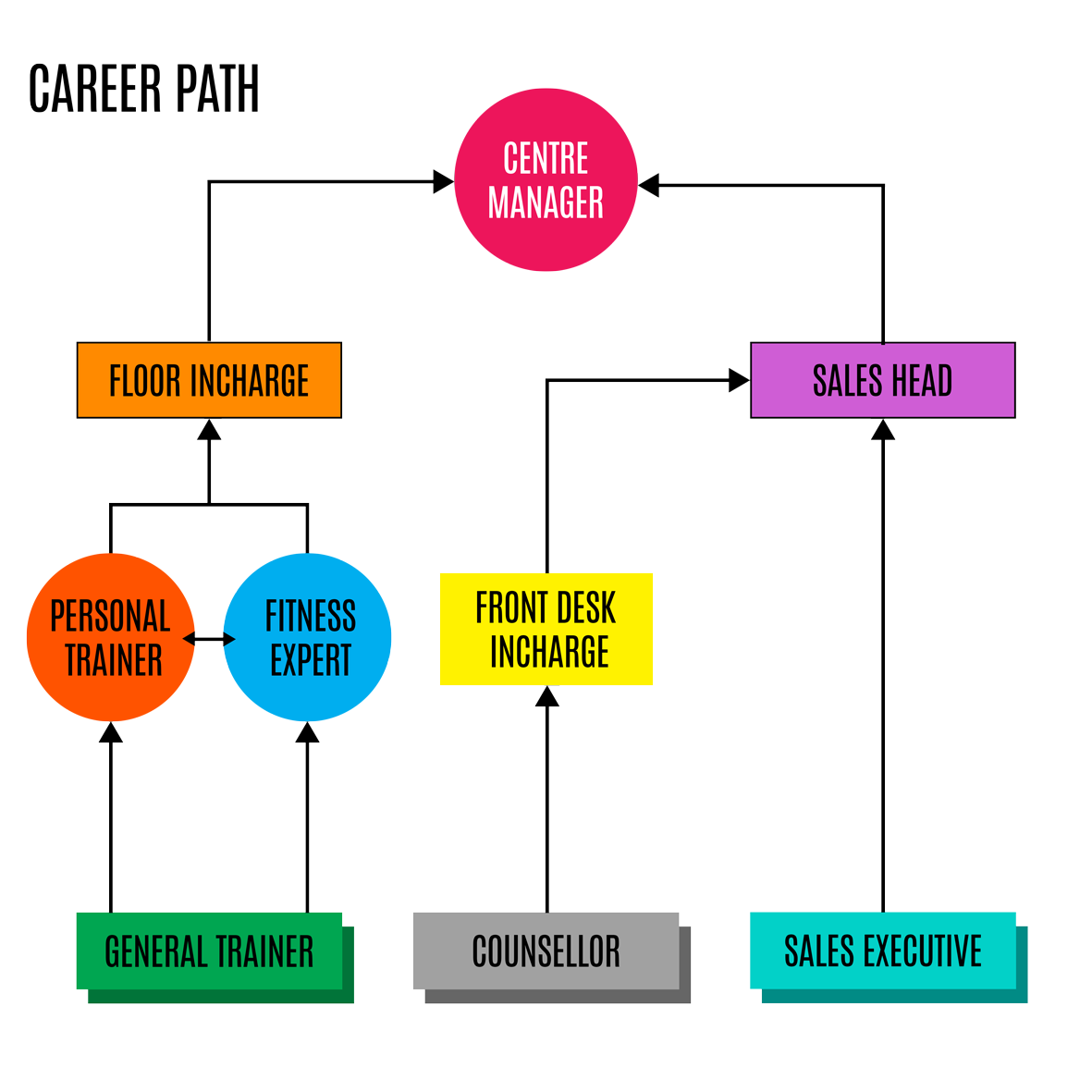 Career path